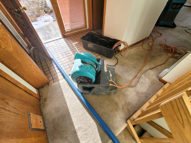 Professional Water damage restoration in Fort Bliss, TX