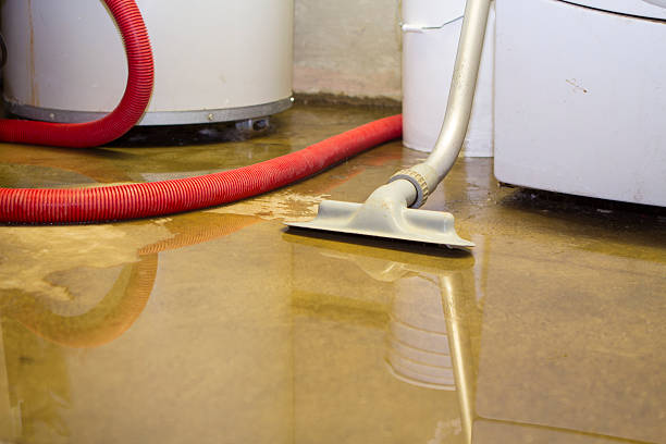 Best Flood damage cleanup  in Fort Bliss, TX