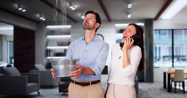 Best Professional water damage repair  in Fort Bliss, TX